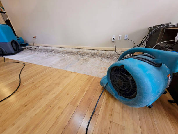 Reliable Basement Flood Cleanup contractor in Collins, MS by Hirex Water Damage