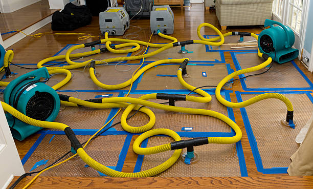 Professional Basement Flood Cleanup technician working in Collins, MS
