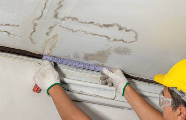 Affordable Basement Flood Cleanup solutions in Collins, MS